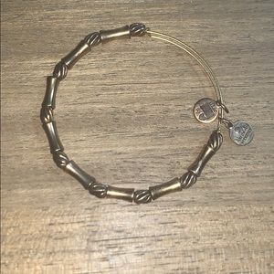 Alex and ani bracelet